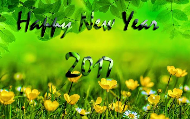 Happy New Year Hd wallpaper  2017
